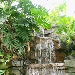 Meet your Posher, Arlene